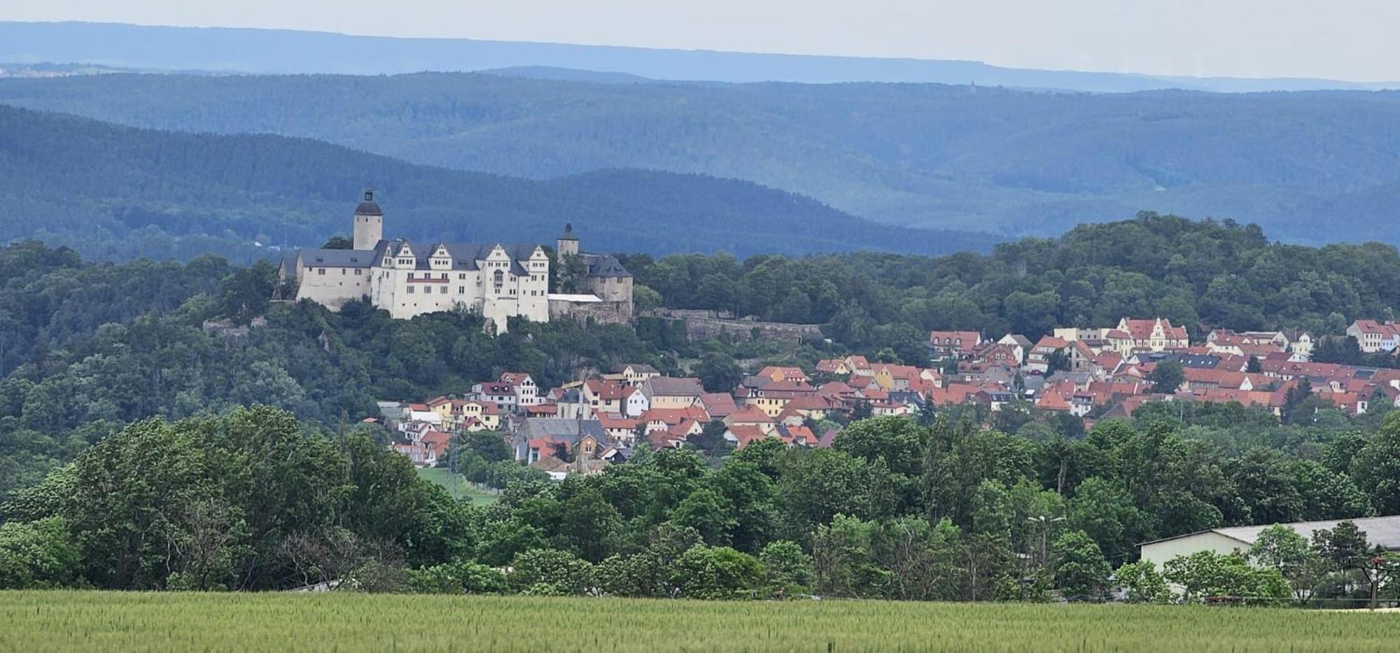 Ferienhaus-Wurzbach Экстерьер фото